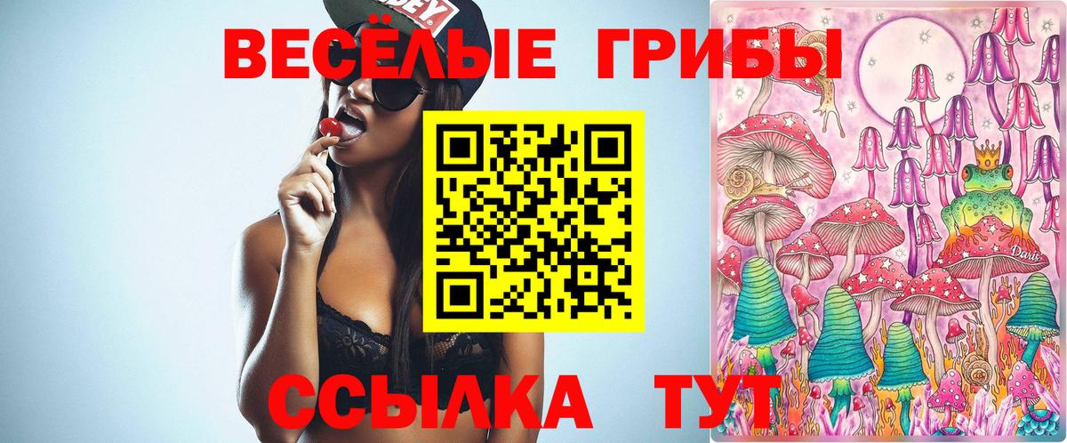 Псилоцибиновые грибы прущие грибы  Вход с VPN  Иваново 