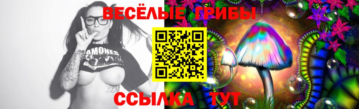 Псилоцибиновые грибы ЛСД Иваново